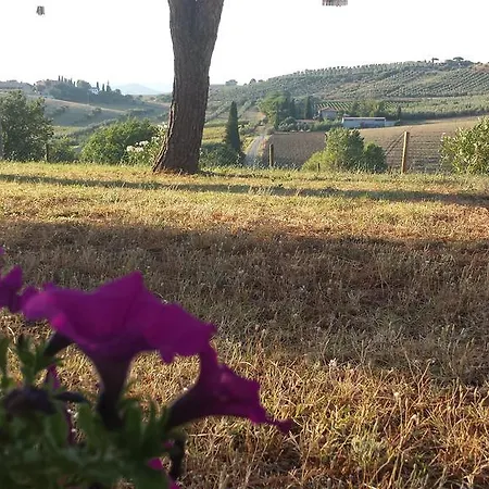 Appartement Podere Selvette