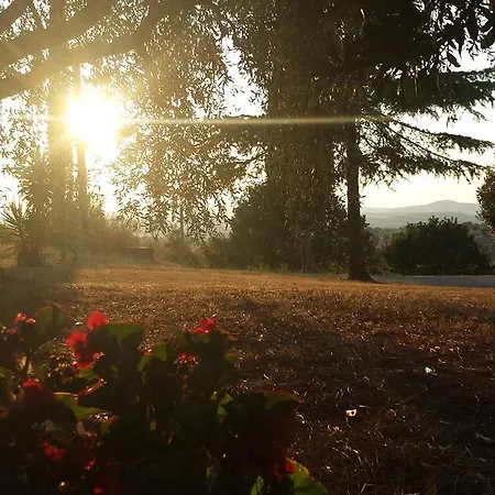 Podere Selvette Apartamento